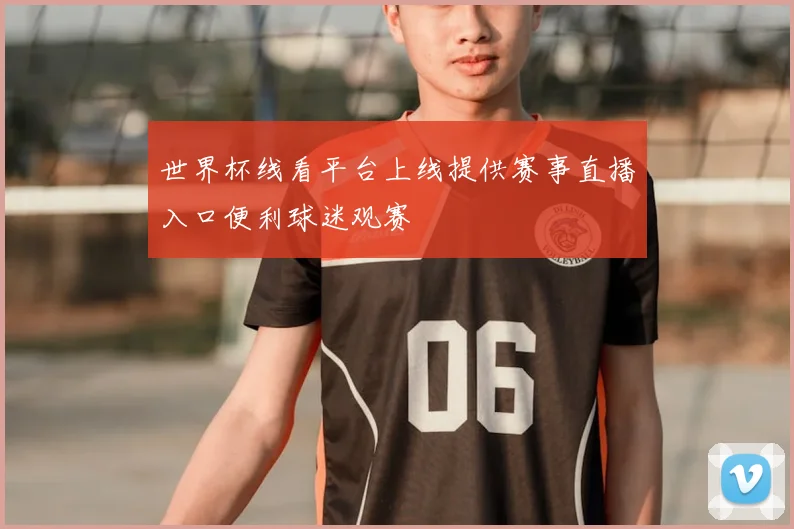 世界杯线看平台上线提供赛事直播入口便利球迷观赛