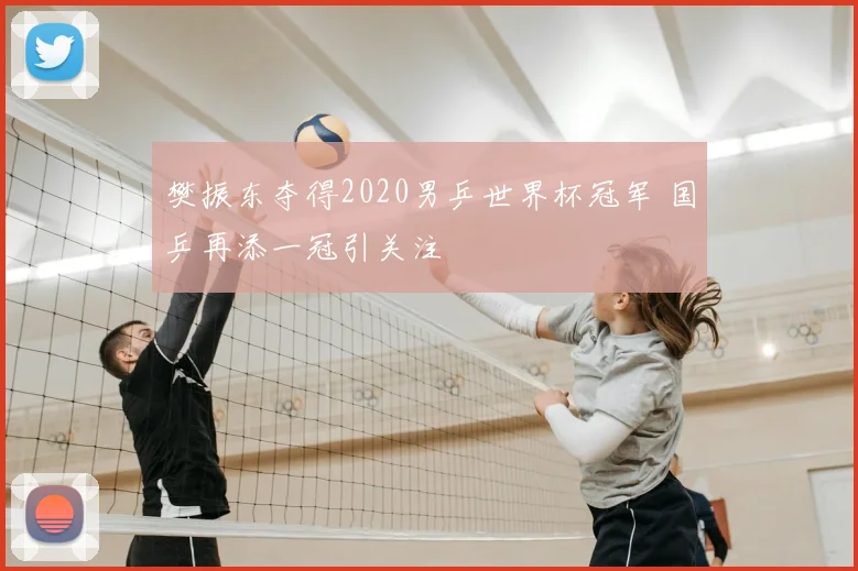 樊振东夺得2020男乒世界杯冠军 国乒再添一冠引关注